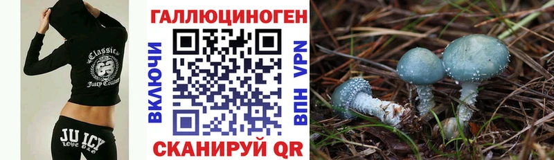 Псилоцибиновые грибы Cubensis  Железногорск 