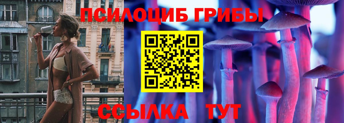 Железногорск  Галлюциногенные грибы Magic Shrooms  Вход с VPN 